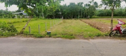 Cần bán lô đất vườn tại Thôn Diêu Phong - Hoà Nhơn tại Quảng Nam