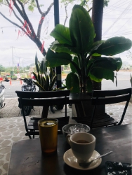 Tôi Cần Bán Gấp 200m2 Đất ĐIỆN NAM TRUNG - Giáp Đà Nẵng tại Quảng Nam