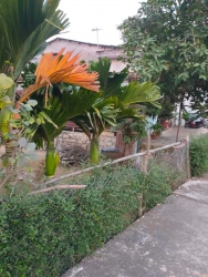 Bán đất Thị Trấn Nam Phước diện tích 5x19 tại Quảng Nam