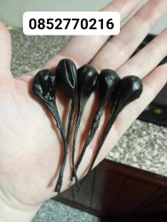 Máy thuốc hỗ trợ điều trị các bệnh như ho, hen suyễn, viêm phế quản, trĩ, viêm xoang, nóng gan tại Quảng Nam