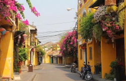 Diện tích 200m2 Đất trồng cây Nam Hội An tại Quảng Nam