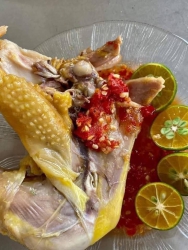 Gà Kiến Chân Nhỏ Bao Dai Ngon tại Quảng Nam