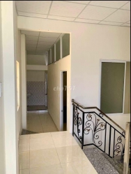  chỉ nhỉnh tại Quảng Nam