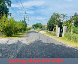 Bán đất Đường Nhựa Liên Thôn Thái Sơn Điện Tiến Điện Bàn tại Quảng Nam
