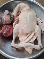 Bán Vịt tại Quảng Nam