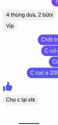 Dưa ko hột đỏ mặt trời ngọt lịm tại Quảng Nam