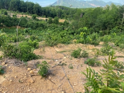 7000m2 viết tay Hồ sơ quy chủ Phú Thượng đường ô tô tận nơi tại Quảng Nam