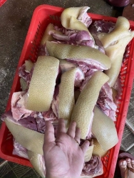 E dang sip bi huy 5 ga tre 65k 1 con 3 con e mien siplên đơn e sip luon ạ tại Quảng Nam