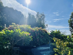 Soul Village - Hồn Quê Cafe tại Quảng Nam