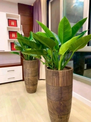 79 Khu vườn tại Quảng Nam