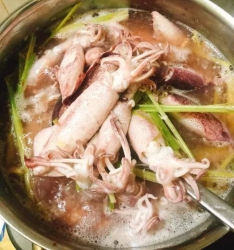 Mực cơm nháy tại Quảng Nam