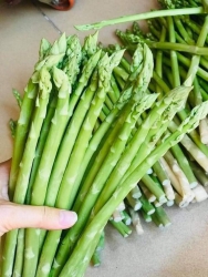 tieu de ne tại Quảng Nam