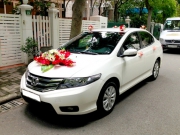 Thuê xe 4 chỗ tự lái tại Hội An & tại Quảng Nam