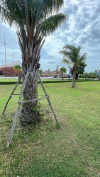 Chỉ 399 triệu sở hữu lô đất biển tại Thăng Bình - Quảng Nam tại Quảng Nam