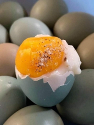 Dịch vụ Vận Chuyển Hàng Hóa Nhanh Chóng tại Quảng Nam