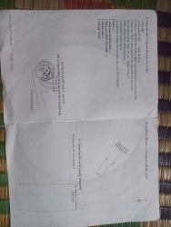 Chính chủ cần bán 2 lô đất liền kề 390m, view sông và view lúa tại Quảng Nam