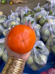 Hồng mật nên ngọt như mật nha, hồng mật sáng nay cứng giòn lắm lun tại Quảng Nam