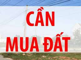 Cần mua đất chính chủ tại điện bàn tại Quảng Nam