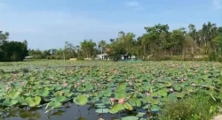 Bán Đất Bình Quý Thăng Bình Quảng Nam tại Quảng Nam