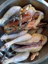 ng 7 không tụ tập, gà giảm gi tại Quảng Nam