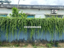Công Ty TNHH Tư Vấn Thiết Kế Đầu Tư Xây Dựng 79Design tại Quảng Nam