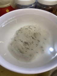 Bài viết về Yến Sào của em Dung tại Quảng Nam