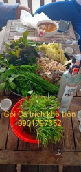 Gỏi Cá Trích và Gỏi Sứa Mắm Nhĩ tươi ngon tại Quảng Nam
