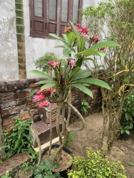  tại Quảng Nam