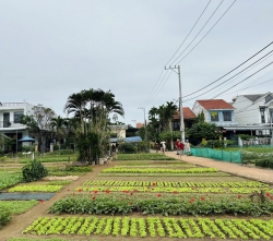 Bất động sản Trà Quế mặt tiền đường lớn tại Quảng Nam