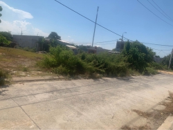 Điện thắng Bắc còn sốt lại 1 lô tại Quảng Nam