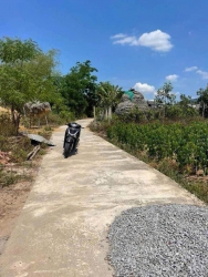 Ai co dat chinh chu hay nam chac chu khu vuc Dien Nam Dien Ngoc Dien Duong Goi rap khach kiem dong tại Quảng Nam