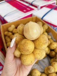 Hàng thực phẩm tươi mới mỗi ngày tại Quảng Nam