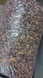 Hạt Điều rang muối nhà chú em ở ĐĂK LẮK xuất khẩu tại Quảng Nam