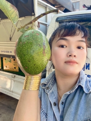 Bán bơ thương hiệu CuBa tại Quảng Nam