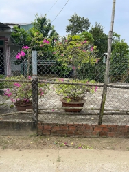  rẻ tại Quảng Nam