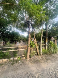 ng Đông - Hoà Châu, gần Nam Kì Khởi Nghĩa tại Quảng Nam