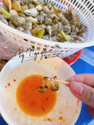 Ốc nhảy sống TO tại Quảng Nam