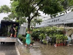 Hàng về đủ loại Mời khách ghé lựa tại Quảng Nam