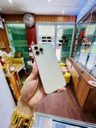 y lấy lộc tại Quảng Nam