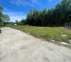 Sụp hầm lô đất nhà vườn Phước Hưng Nam tại Quảng Nam