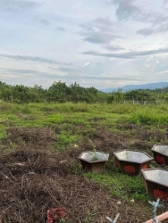 Chào bán lô đất trồng cây sổ hồng trao tay dân cư đông đúc đất vuông vức tại Quảng Nam