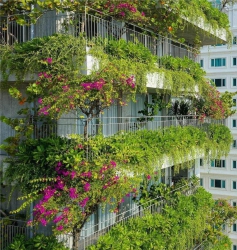 Sụp hầm lô đất MTKD đường Duy Tân nối dài tại Quảng Nam