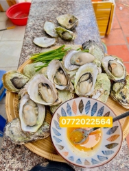 HÓT HÓT KHÁCH ƠI tại Quảng Nam