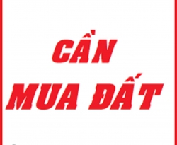 Em cần mua đất diện tích lớn, ưu tiên đường Nam Kì Khởi Nghĩa, tài chính mở tại Quảng Nam