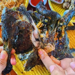 Gà Bản H'Mông Ngon tại Quảng Nam