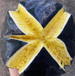 nh sầu riêng SẠCH tại Quảng Nam