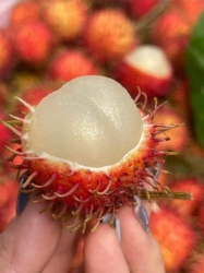 3 món làm mưa làm gió tường em nhà, siêu ngon nhà tại Quảng Nam