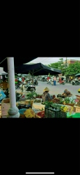 Cần bán đất khu Đô Thụ số 9 chợ Điện Ngọc tại Quảng Nam