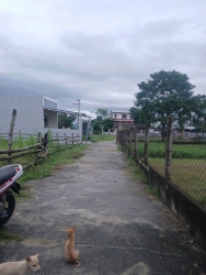 Bán đất Ngang 5 dài 28m Sổ hồng Hướng bắc Cách đường nhựa chính phong lục tây 30m tại Quảng Nam