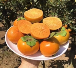 Menu ngày mai thứ Hai mời khách tại Quảng Nam
